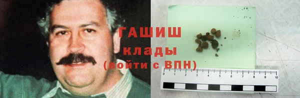сатива Горняк