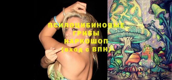 винт Ветлуга