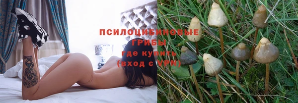 спиды Вязьма