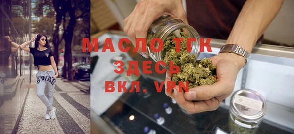 сатива Горняк