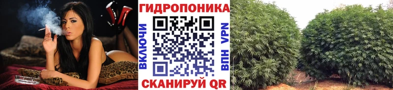 Конопля ГИДРОПОН  купить наркоту  дарк нет состав  Гремячинск 